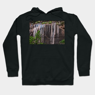 Nature's Tapestry - Zion National Park Hoodie